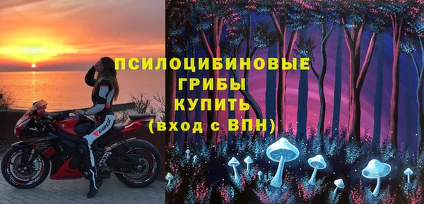 сатива Абинск
