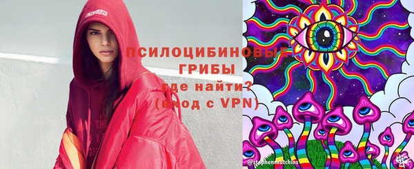 МДПВ Абаза