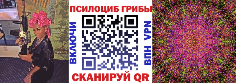 как найти наркотики  Краснозаводск  Галлюциногенные грибы Psilocybine cubensis 